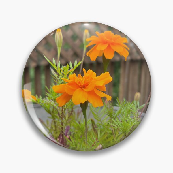 Item preview, Marigolds  designed and sold by Stephanie Fay.