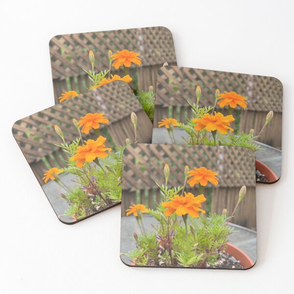 Item preview, Marigolds  designed and sold by Stephanie Fay.