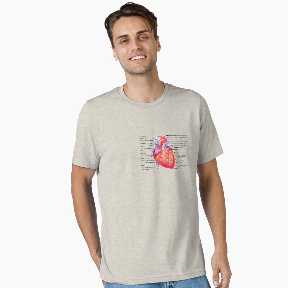 anatomy of the heart Poster