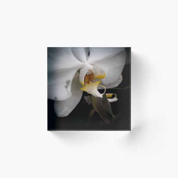 Item preview, Mitchell Park Dome Flower designed and sold by Nick Caldwell.