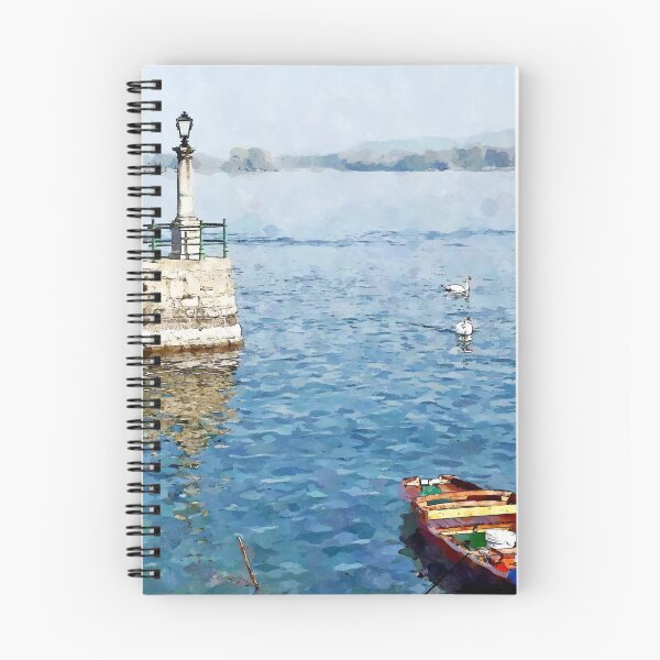 Item preview, Arona: boat pier and three swans designed and sold by Giuseppe Cocco.