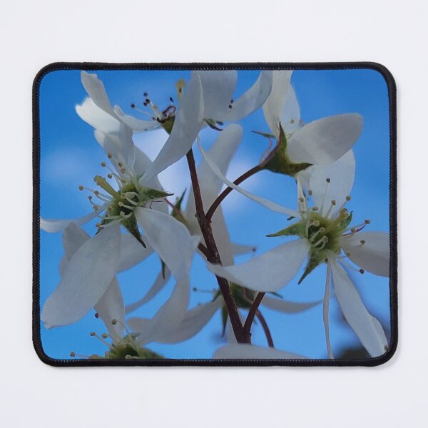 Item preview, White Fragrant Flowers in Bloom on a Treebranch designed and sold by WhiteSoftPetals.