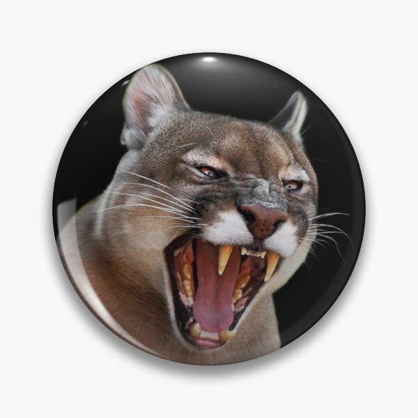 Item preview,  BIG ANGRY CATS designed and sold by THE AMERICAN TEEVANGELIST.