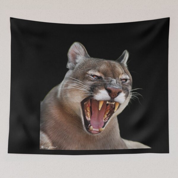 Item preview,  BIG ANGRY CATS designed and sold by THE AMERICAN TEEVANGELIST.