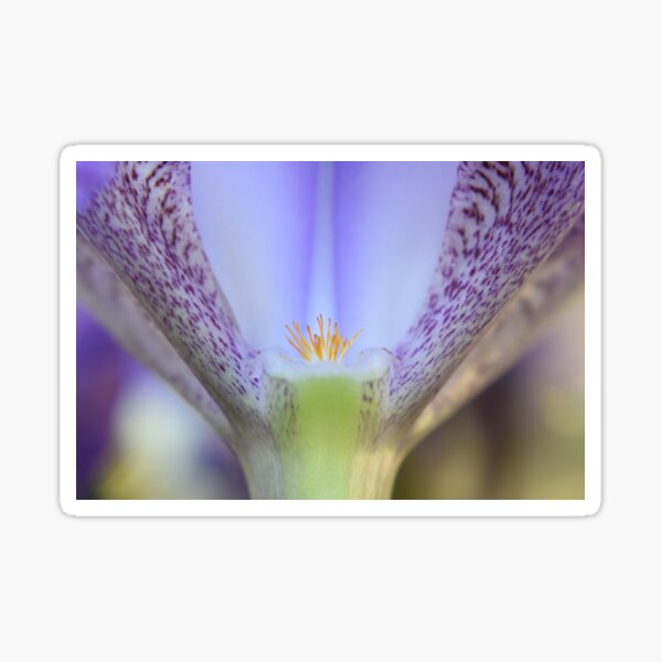 Item preview, Exquisite iris designed and sold by Tonia Delozier's Photography .