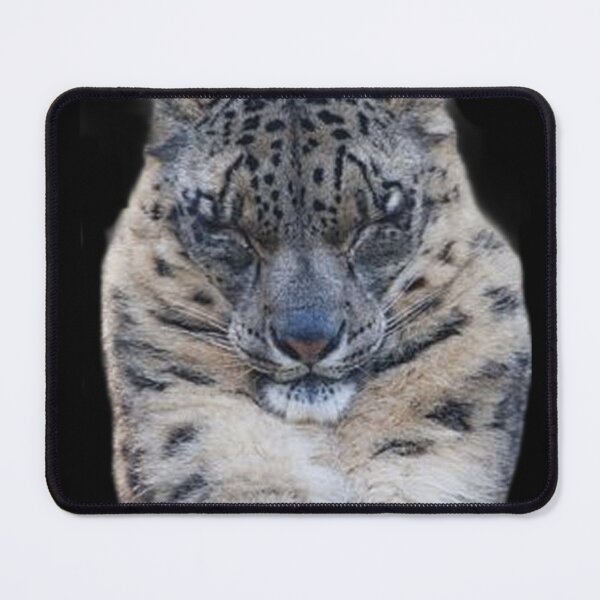Item preview, BIG ANGRY CATS designed and sold by THE AMERICAN TEEVANGELIST.