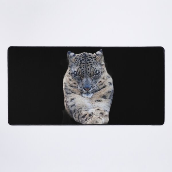 Item preview, BIG ANGRY CATS designed and sold by THE AMERICAN TEEVANGELIST.