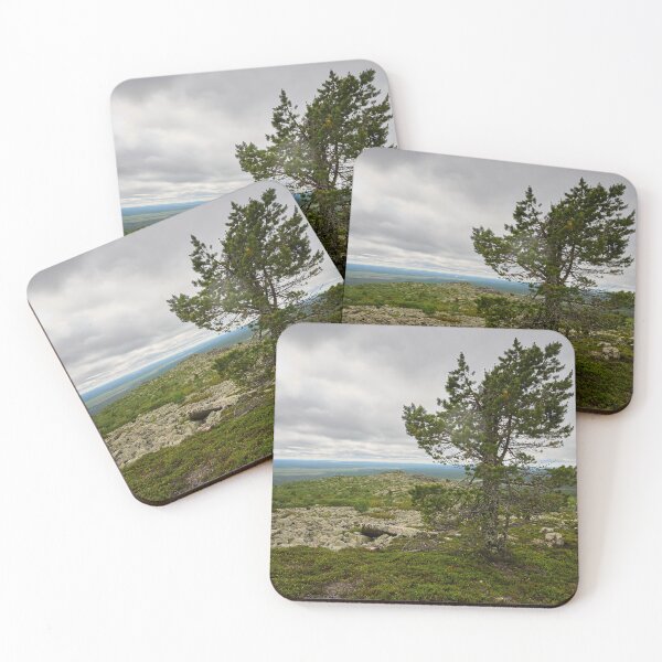 Item preview, The old pine. Pyha Nattanen 24  designed and sold by Jouko Lehto Photography.