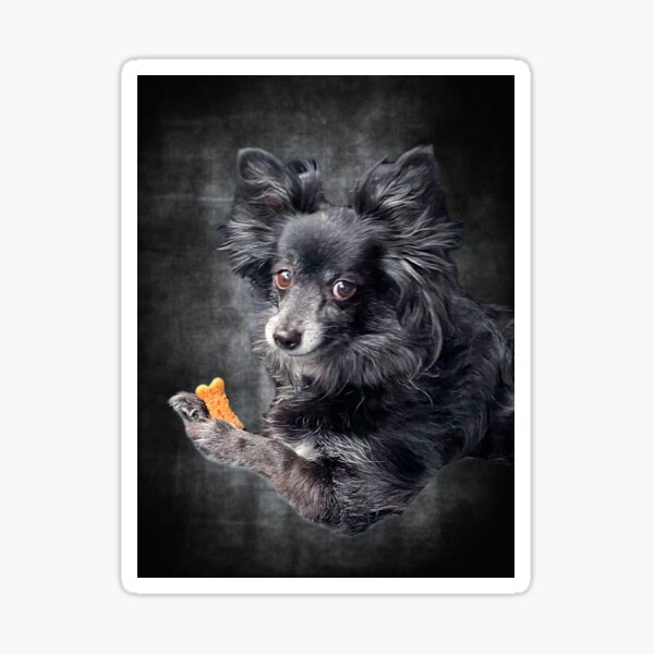 Item preview, Pomchi - One For The Road designed and sold by Bugz9292.