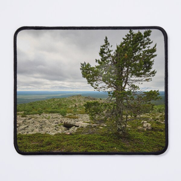 Item preview, The old pine. Pyha Nattanen 24 designed and sold by Jouko Lehto Photography.