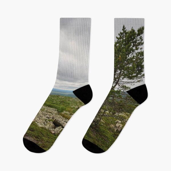 Item preview, The old pine. Pyha Nattanen 24  designed and sold by Jouko Lehto Photography.