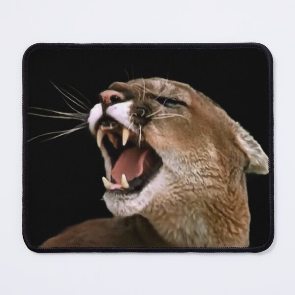Item preview, BIG ANGRY CATS designed and sold by THE AMERICAN TEEVANGELIST.