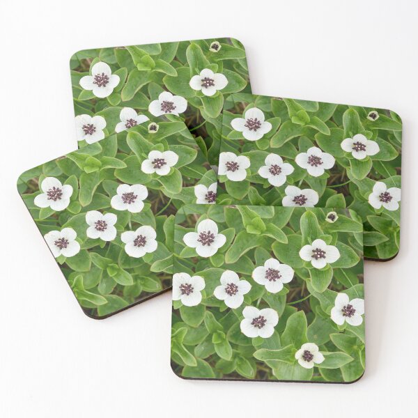 Item preview, A bunch. Bunchberry designed and sold by Jouko Lehto Photography.