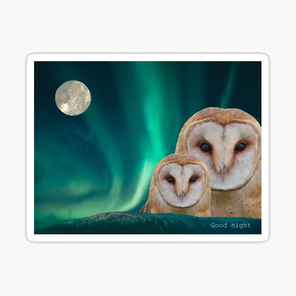 Good Night! Pegatina