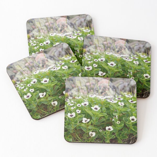 Item preview, Rocky side greens. Bunchberry designed and sold by Jouko Lehto Photography.