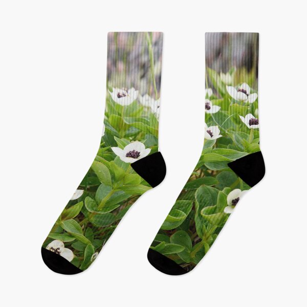 Item preview, Rocky side greens. Bunchberry designed and sold by Jouko Lehto Photography.