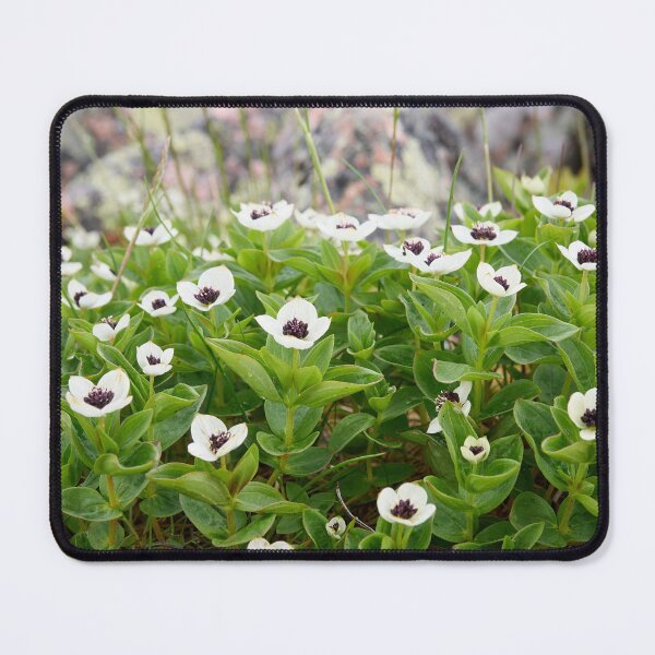 Item preview, Rocky side greens. Bunchberry designed and sold by Jouko Lehto Photography.