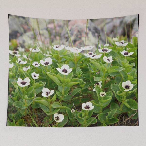 Item preview, Rocky side greens. Bunchberry designed and sold by Jouko Lehto Photography.