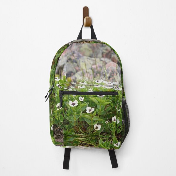 Item preview, Rocky side greens. Bunchberry designed and sold by Jouko Lehto Photography.