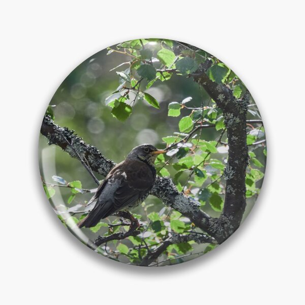 Item preview, Down on the hillside. Fieldfare designed and sold by Jouko Lehto Photography.