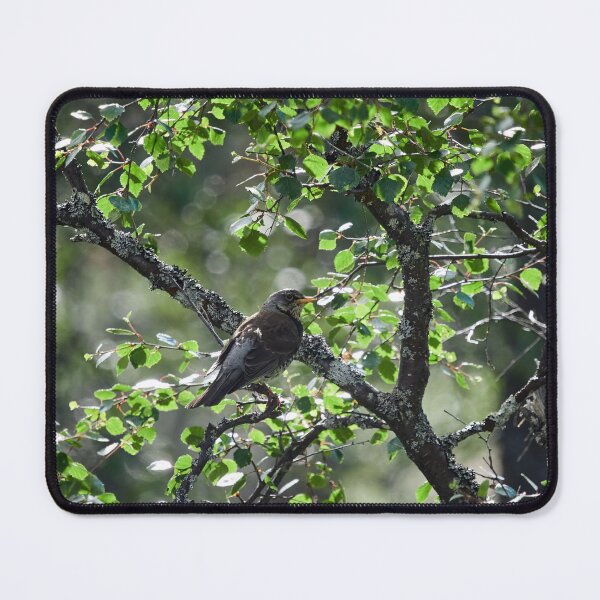 Item preview, Down on the hillside. Fieldfare designed and sold by Jouko Lehto Photography.