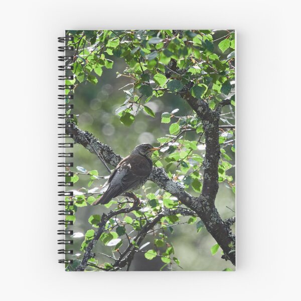 Item preview, Down on the hillside. Fieldfare designed and sold by Jouko Lehto Photography.