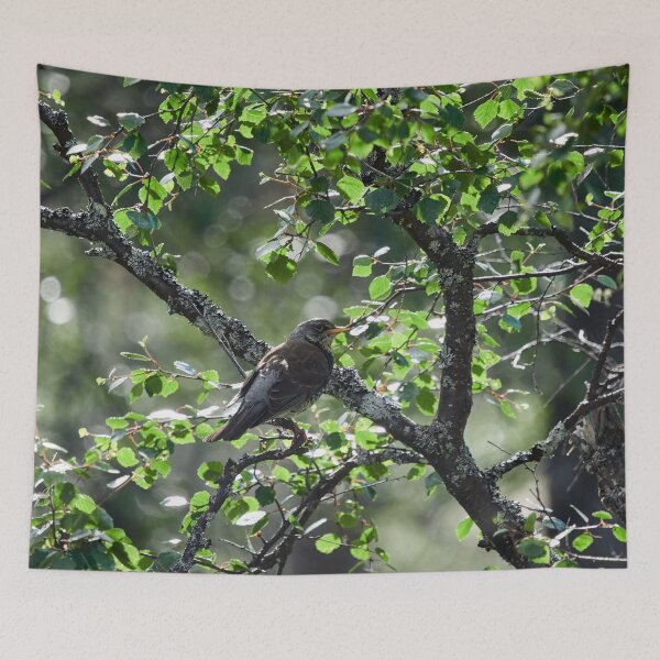 Item preview, Down on the hillside. Fieldfare designed and sold by Jouko Lehto Photography.