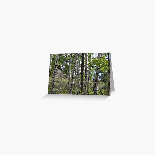 Item preview, Tree photographic print designed and sold by xzbwx.