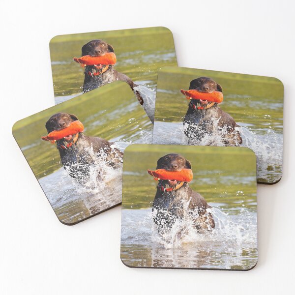 Item preview, German Wirehaired Pointer retrieving in water designed and sold by FOLK ART FUSION by heidiannemorris.