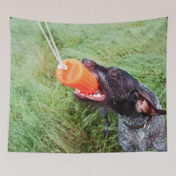 Item preview, German Wirehaired Pointer with orange dummy designed and sold by FOLK ART FUSION by heidiannemorris.