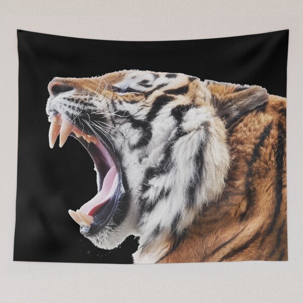 Item preview, BIG ANGRY CATS designed and sold by THE AMERICAN TEEVANGELIST.