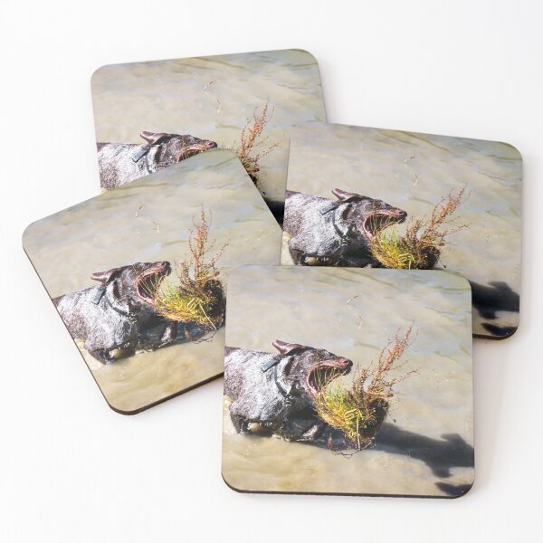 Item preview, German Wirehaired Pointer playing in a river designed and sold by FOLK ART FUSION by heidiannemorris.