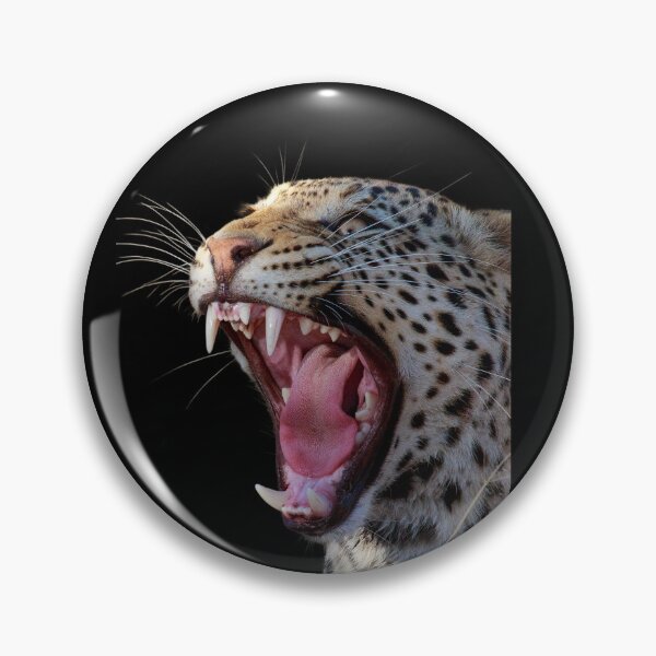 Item preview,  BIG ANGRY CATS designed and sold by THE AMERICAN TEEVANGELIST.