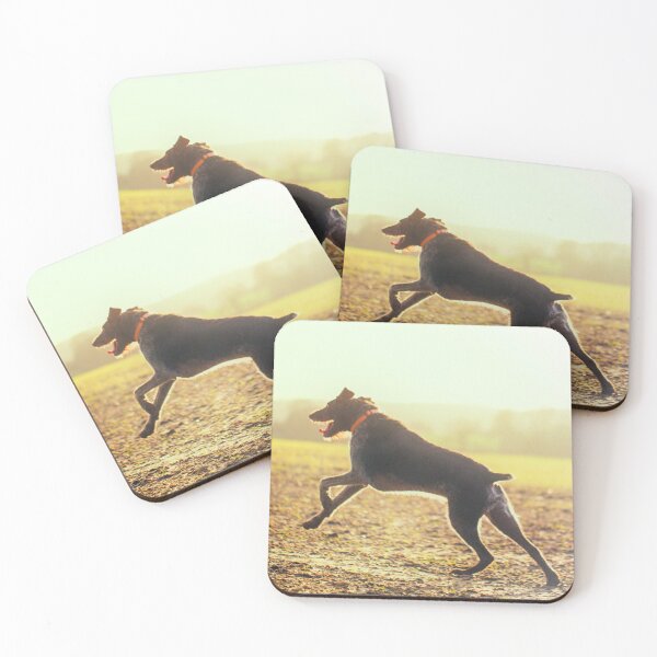 Item preview, German Wirehaired Pointer running designed and sold by FOLK ART FUSION by heidiannemorris.