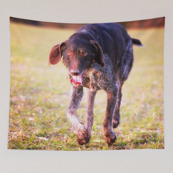 Item preview, German Wirehaired Pointer happy running designed and sold by FOLK ART FUSION by heidiannemorris.
