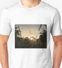 Yellow African Grasses At Sunset - Kenya Africa Unisex T-Shirt