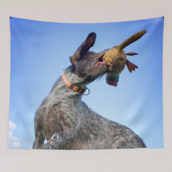 Item preview, German Wirehaired Pointer catches toy designed and sold by FOLK ART FUSION by heidiannemorris.