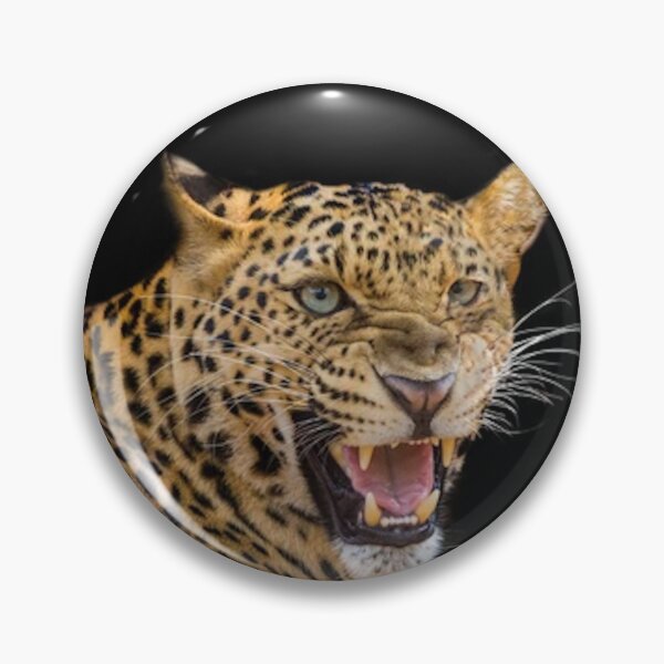 Item preview, BIG ANGRY CATS designed and sold by THE AMERICAN TEEVANGELIST.