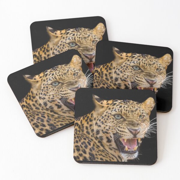 Item preview, BIG ANGRY CATS designed and sold by THE AMERICAN TEEVANGELIST.
