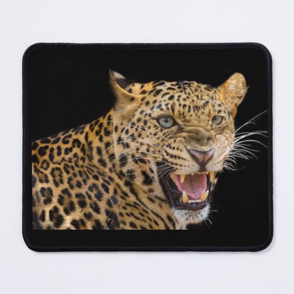 Artikelvorschau, BIG ANGRY CATS entworfen und verkauft von THE AMERICAN TEEVANGELIST.