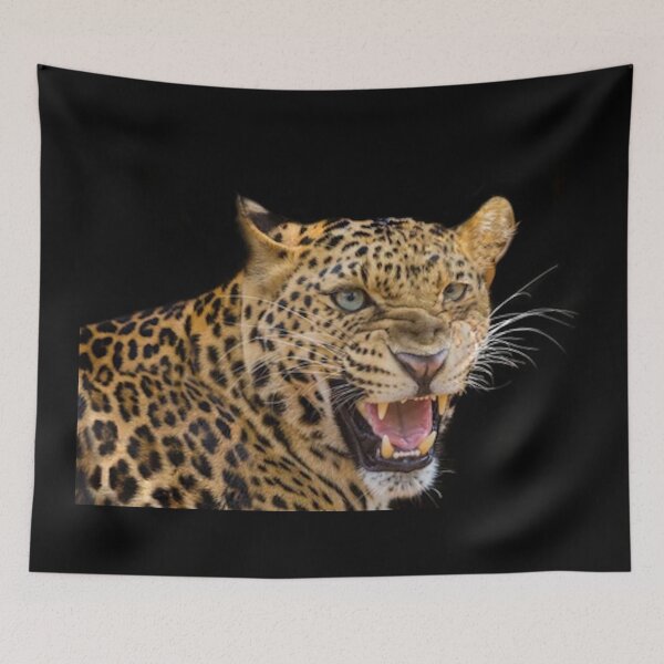 Item preview, BIG ANGRY CATS designed and sold by THE AMERICAN TEEVANGELIST.
