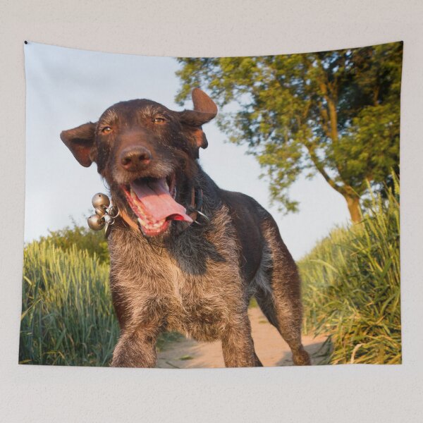 Item preview, Happy German Wirehaired Pointer running designed and sold by FOLK ART FUSION by heidiannemorris.