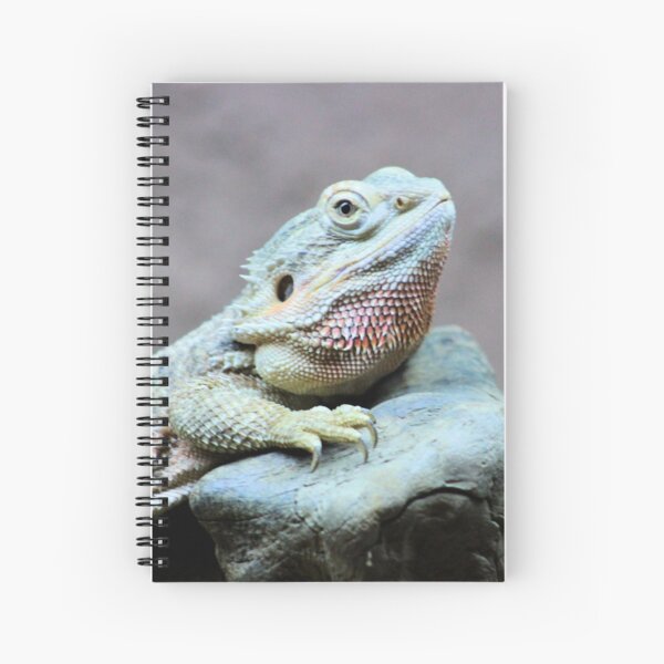 Iguana Spiral Notebook