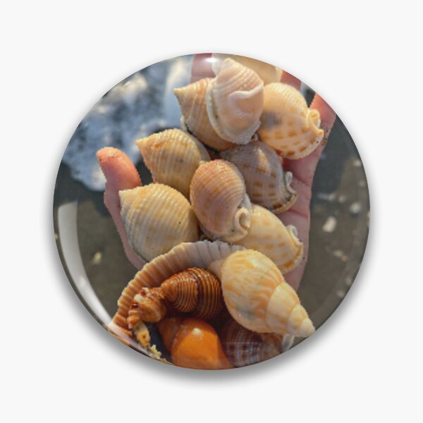 Item preview, Shell Haul designed and sold by Taraspics.