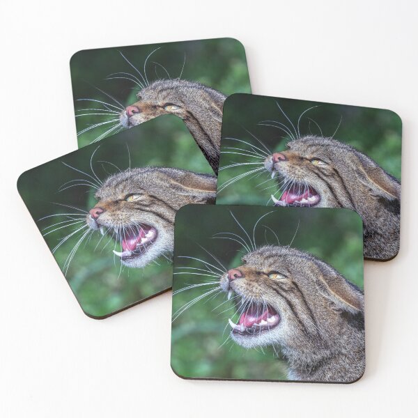 Item preview, Scottish Wildcat designed and sold by Tom McPherson Photography.