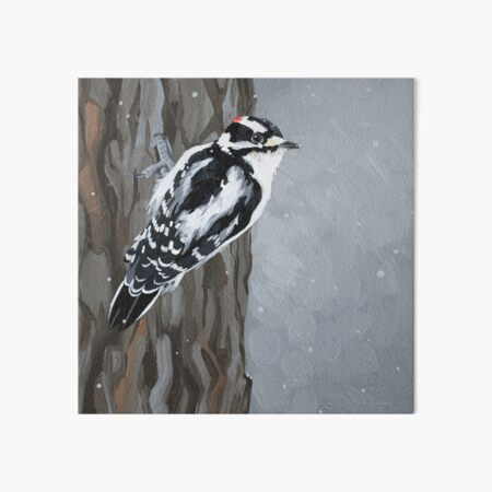 Item preview, Downy Woodpecker in Snow designed and sold by LauraWolfArtist.