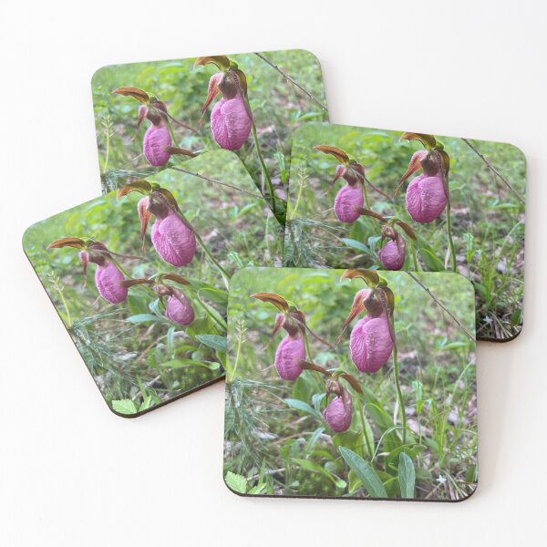 Item preview, Lady Slipper designed and sold by Taraspics.