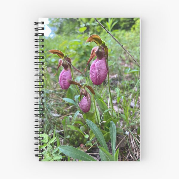 Item preview, Lady Slipper designed and sold by Taraspics.