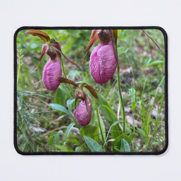 Item preview, Lady Slipper designed and sold by Taraspics.
