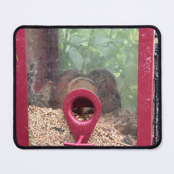 Item preview, Chipmunks in a Food Coma designed and sold by fierceautie.